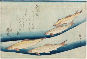 Foto: Utagawa Hiroshige, Flussforellen, um 1832, Fotowerkstatt HAUM