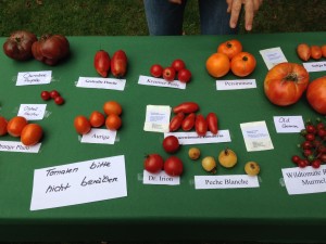 So bunt und alles Tomate. (Foto: BSM)