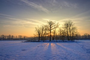 Ein Wintermorgen in Riddagshausen. Foto: Gerald Grote