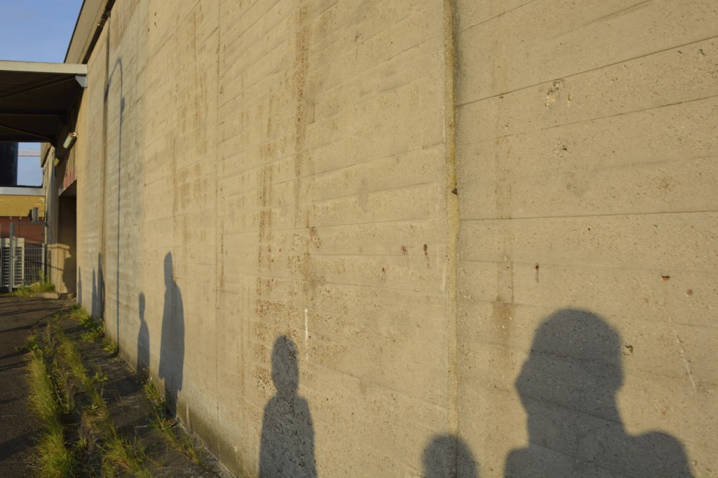 Schattenspiele. Foto: BSM