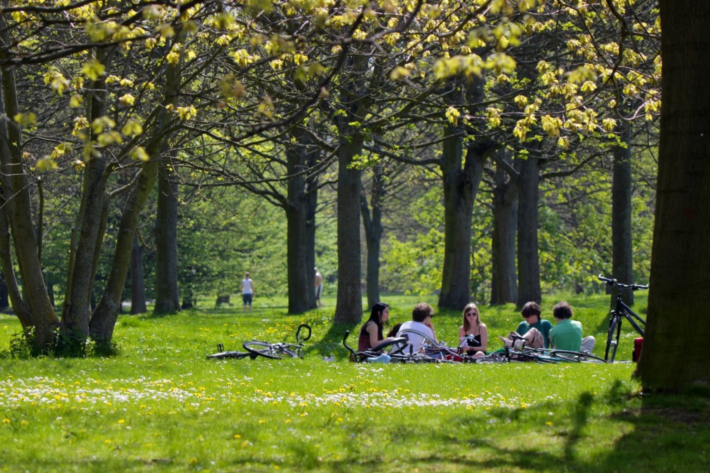 Bürgerpark Picknick