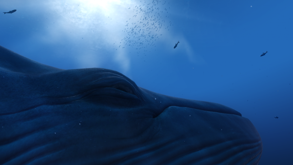 Den Blauwal von Nahem zu betrachten grenzt für mich an einen Traum. Screenshot: VirtuaLounge.