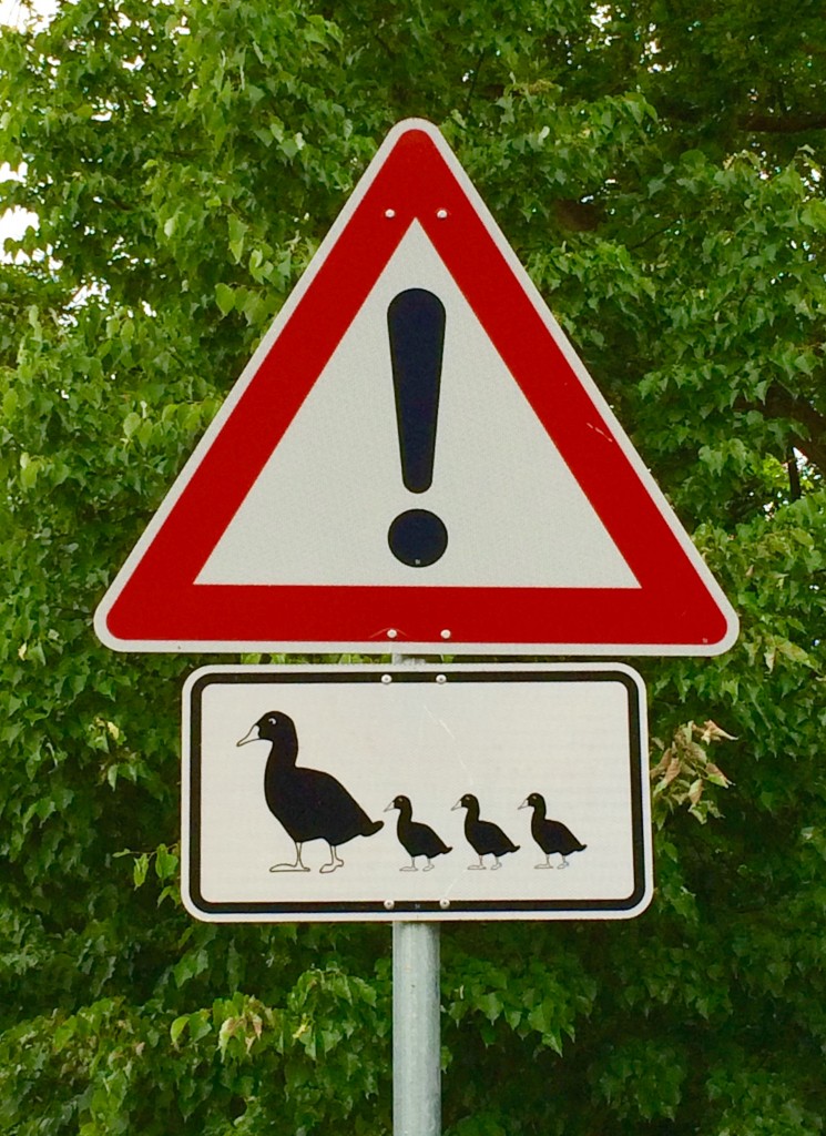 Straßenschild Achtung, Enten