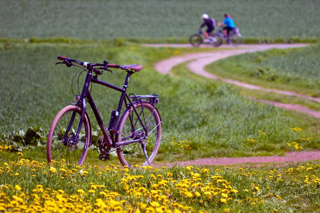 Ein Fahrrad steht auf einem Weg, davor gelb blühende Frühlingsblumen.