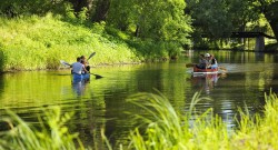 Ein blaues Paddelboot und ein rotes Kanu treffen auf der Oker aufeinander. Grünes Ufer.