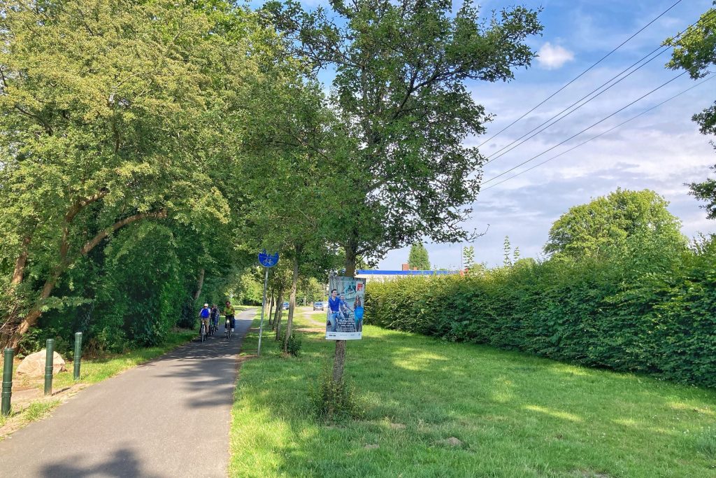 Fahrradweg und grüner Grasstreifen. In der Mitte ein Plakat an einem Baum befestigt.