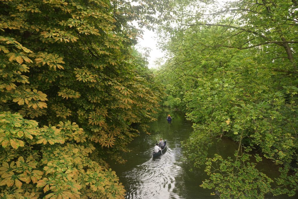 Ein Kanu auf einem Fluss zwischen Bäumen
