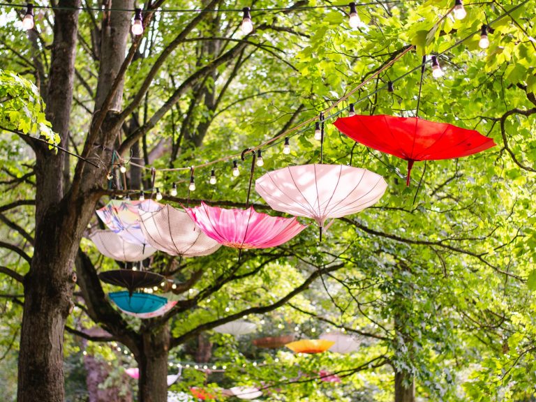 Schirme, die an einem Baum hängen