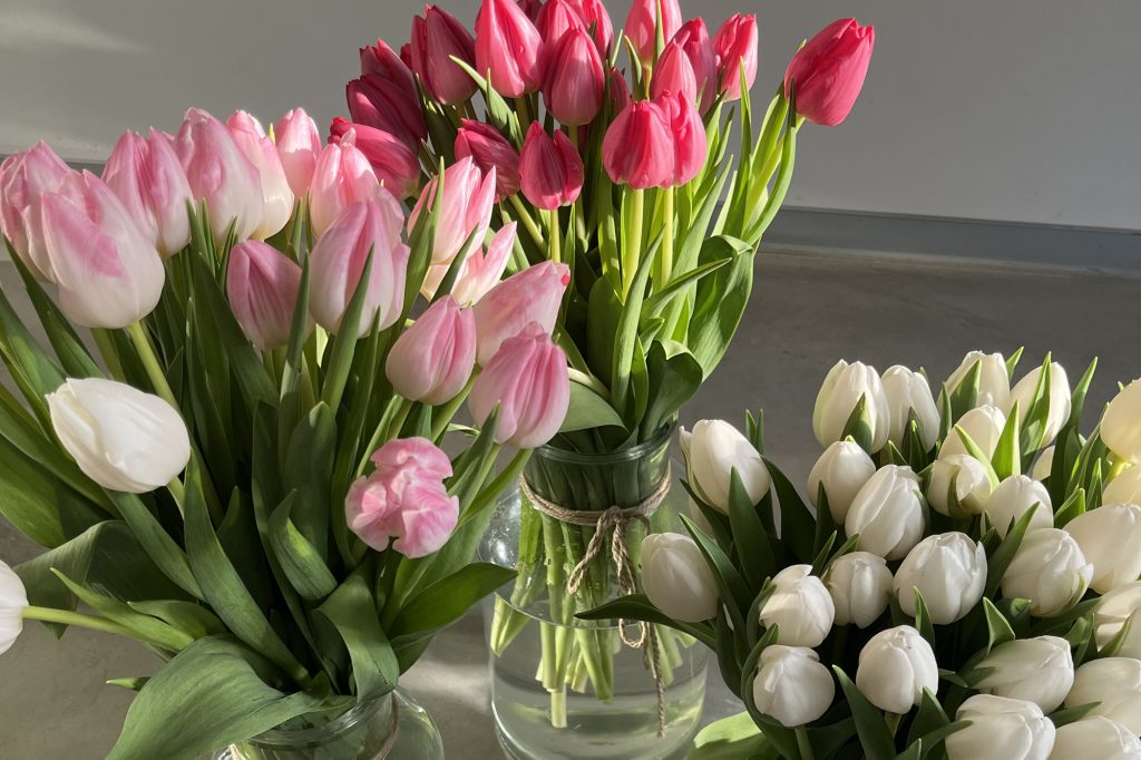 Vasen mit Tulpen